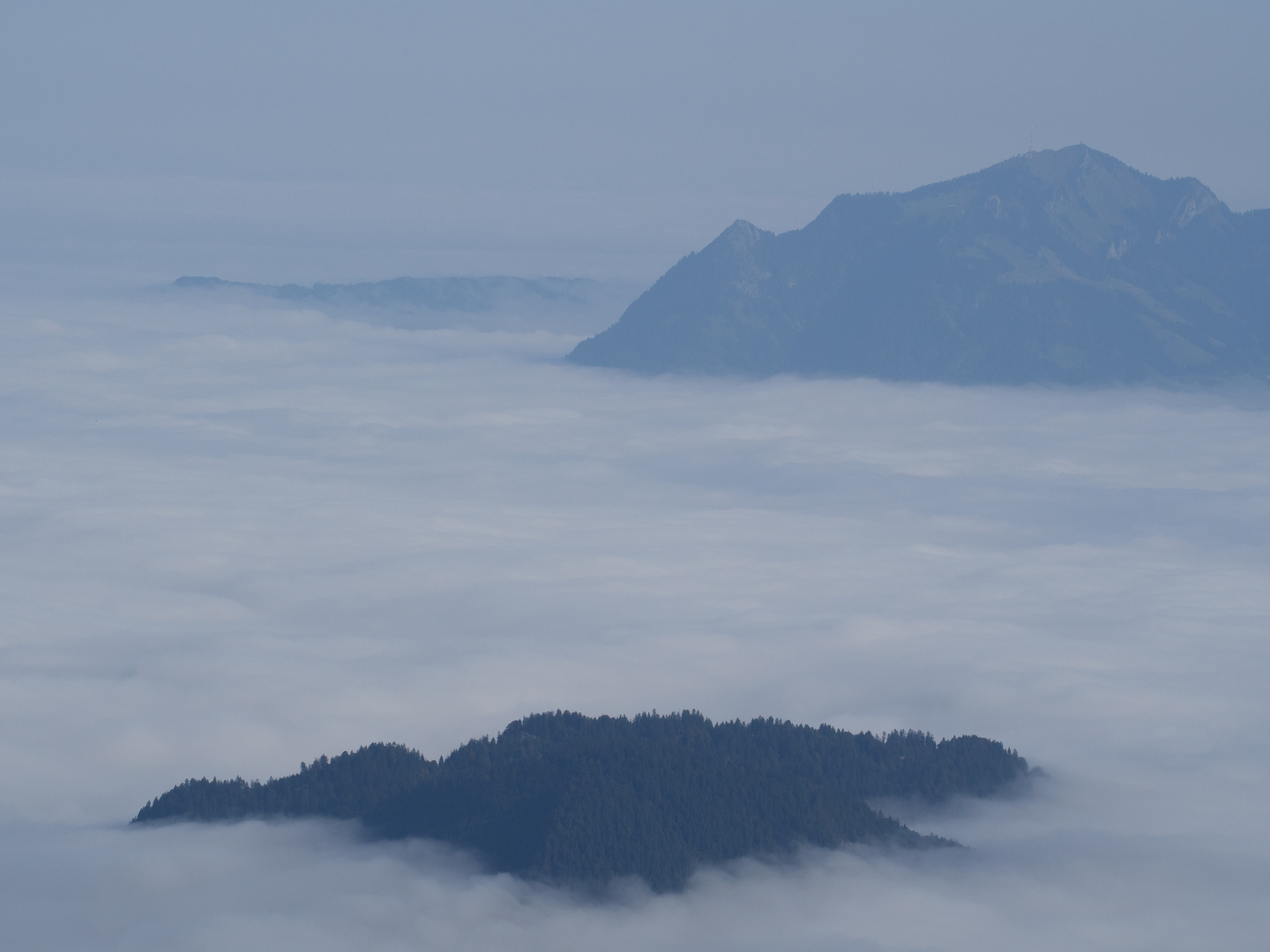 Obheiter am Fellhorn