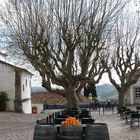 Obidos-2