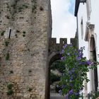 Obidos-4