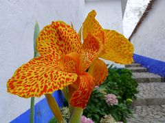 obidos