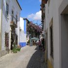 Obidos (6) - Portugal