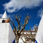 Obidos alter Baum mit Kirchturm