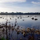 Objet flottants inconnus sur la Loire ....