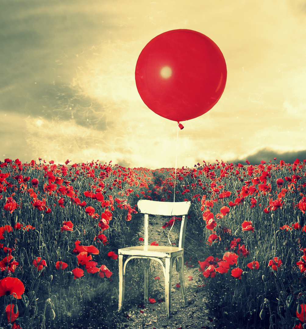 Obligations Foto & Bild | digi-art, art, mohnfeld Bilder ...