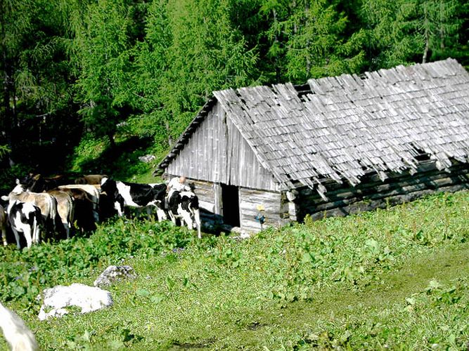 **Obn auf da Alm**