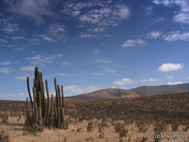 Observados desde el cielo