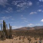 Observados desde el cielo