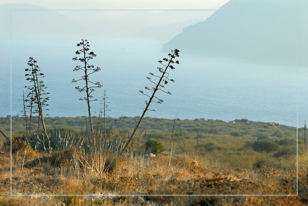 Observando la bahía