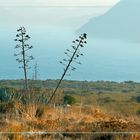 Observando la bahía