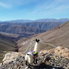 Observando la carretera hacia el Gran Salar de Jujuy.