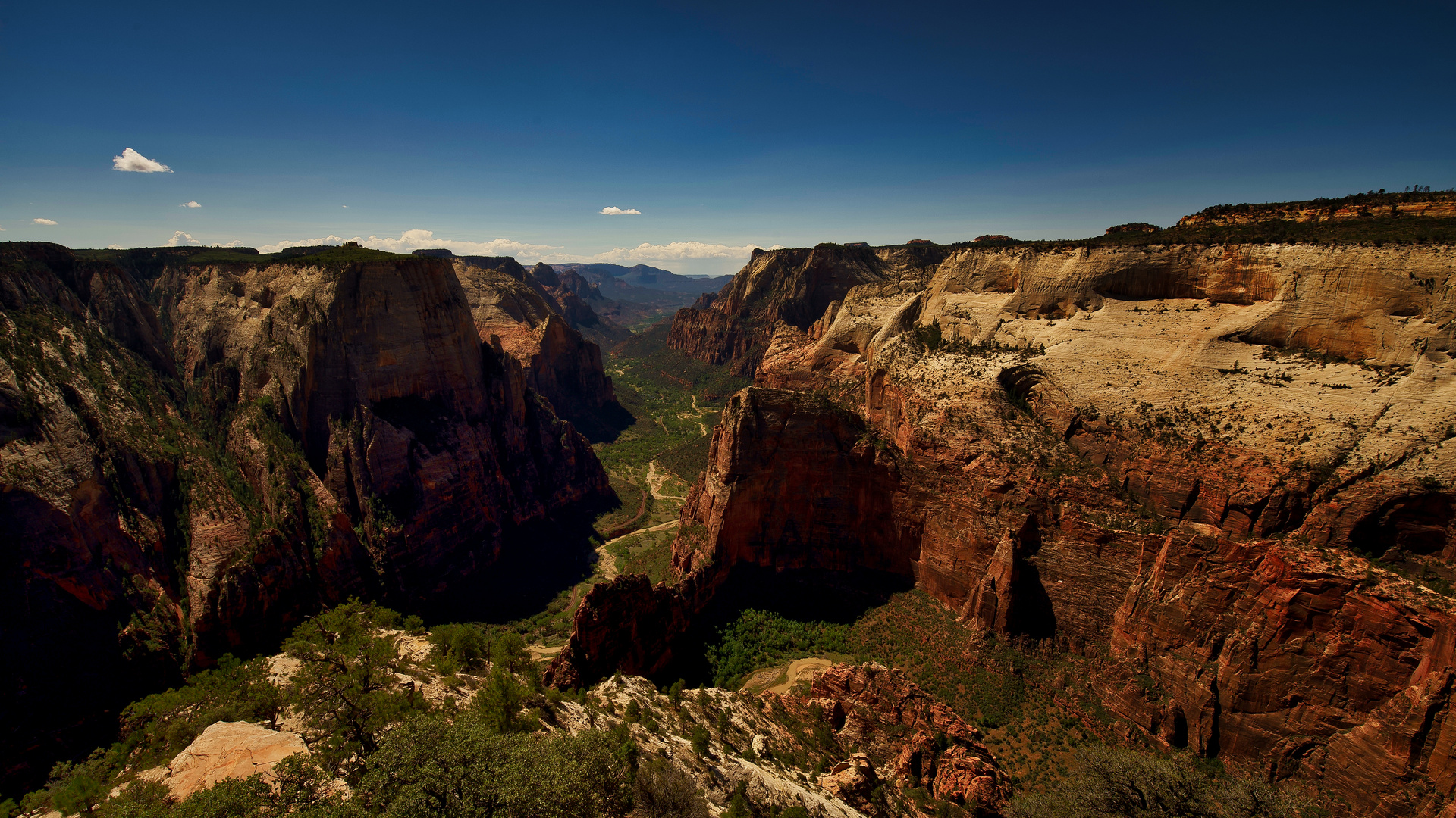 Observation Point