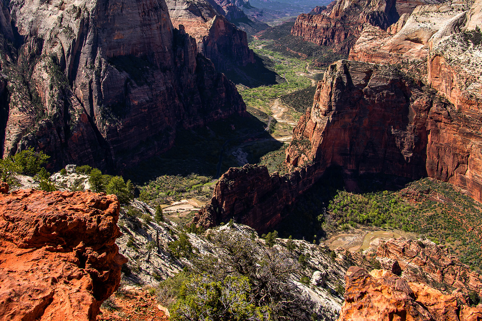 Observation Point