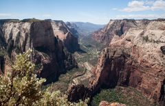 Observation Point