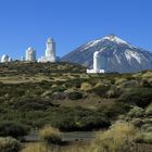 Observatorio del Teide