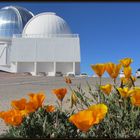 Observatorium (Sternwarte) Tololo, ca. de La Serena, Chile