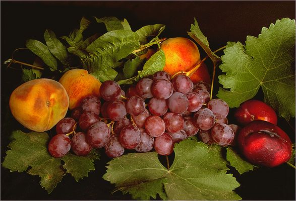  Obst aus dem Herbst  Argentiniens 