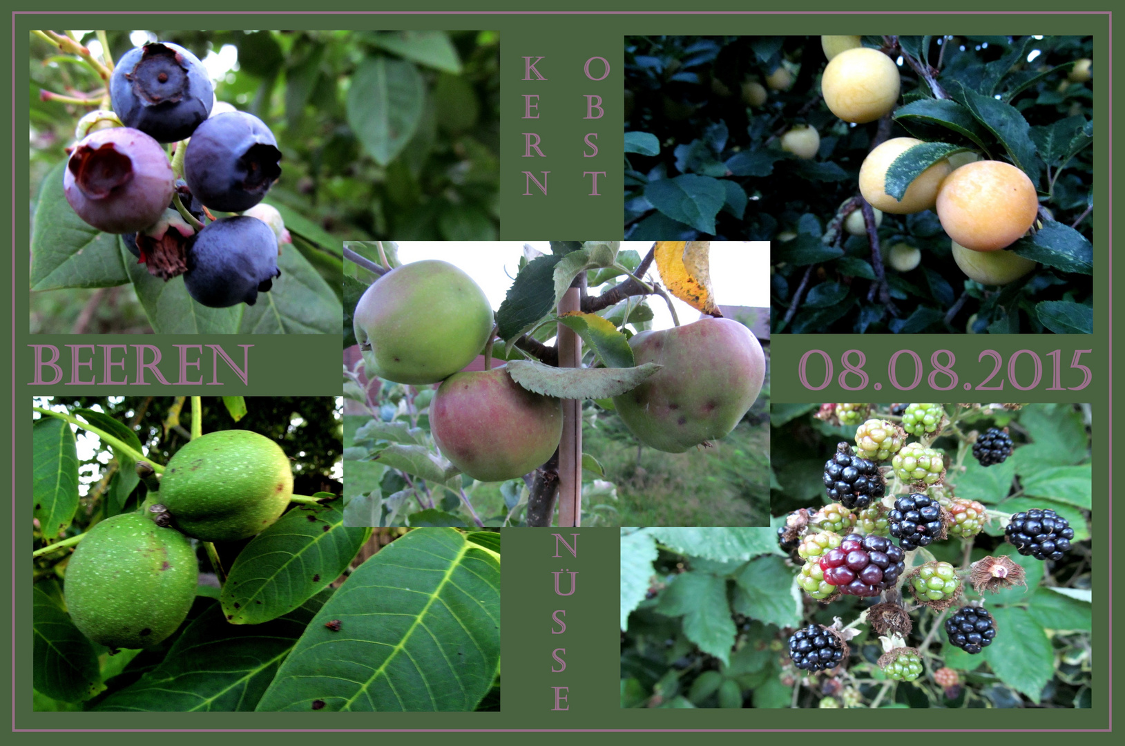 Obst & Beeren