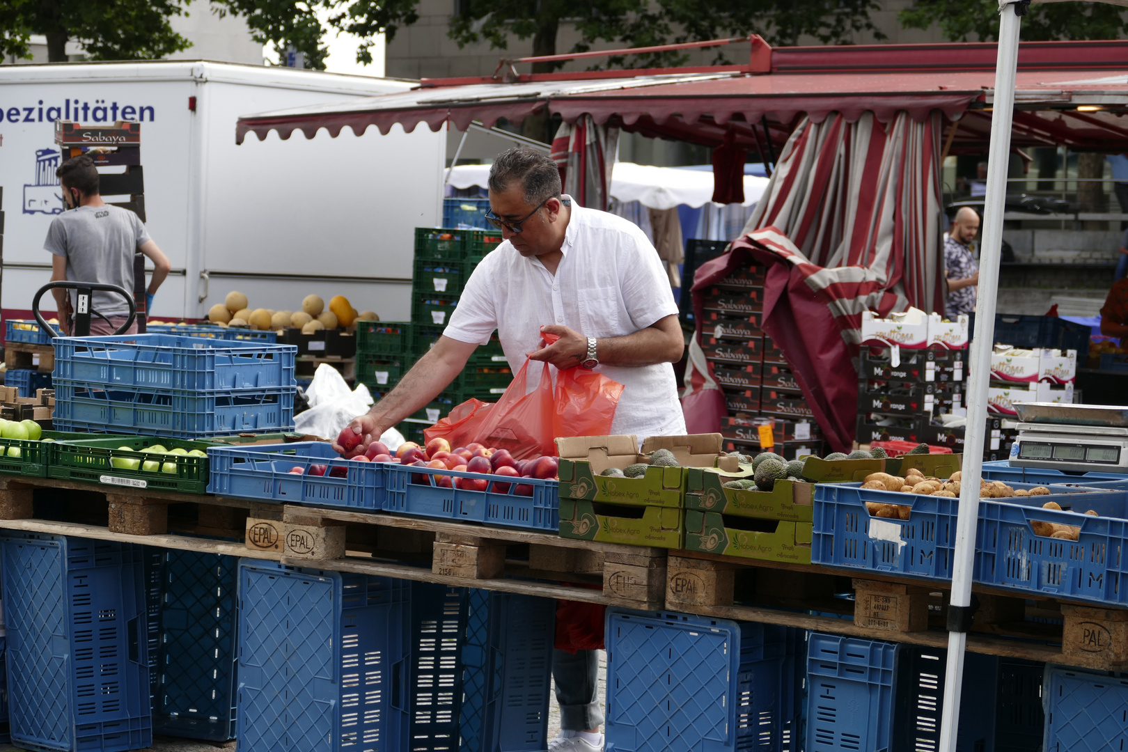 Obst & Gemüse