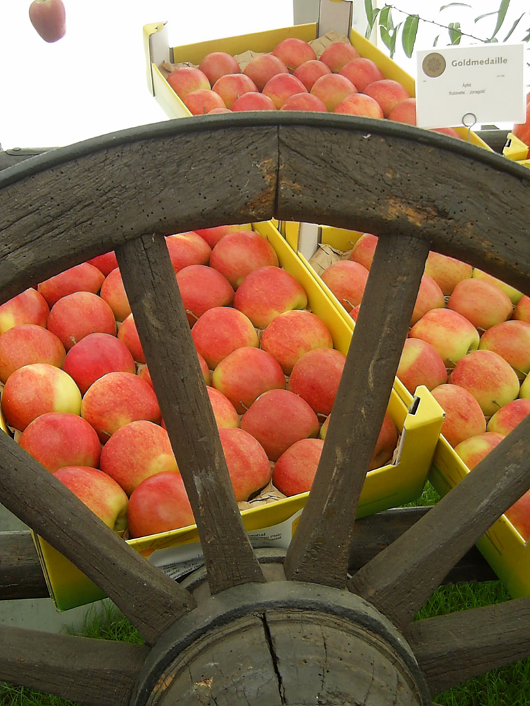 Obst hinter einem Holzrad