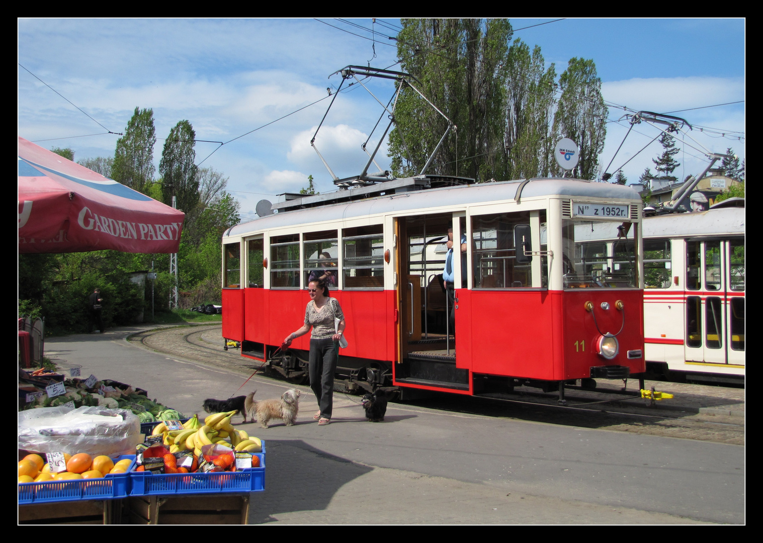 Obst - Hunde - Straßenbahn