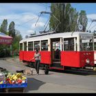 Obst - Hunde - Straßenbahn