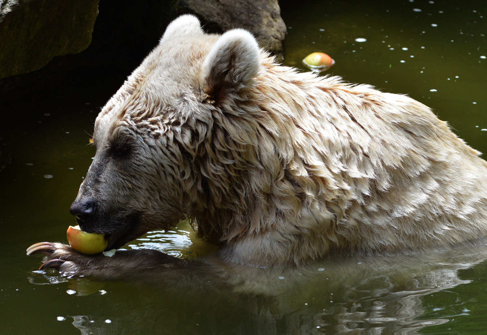 Obst ist gesund!