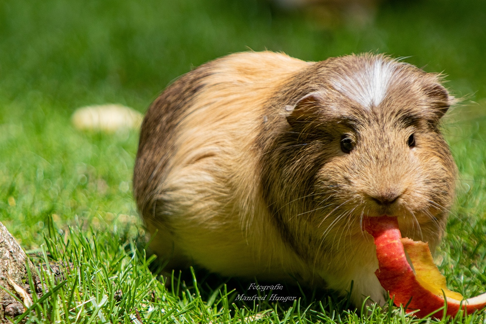 "Obst ist gesund" ;-)