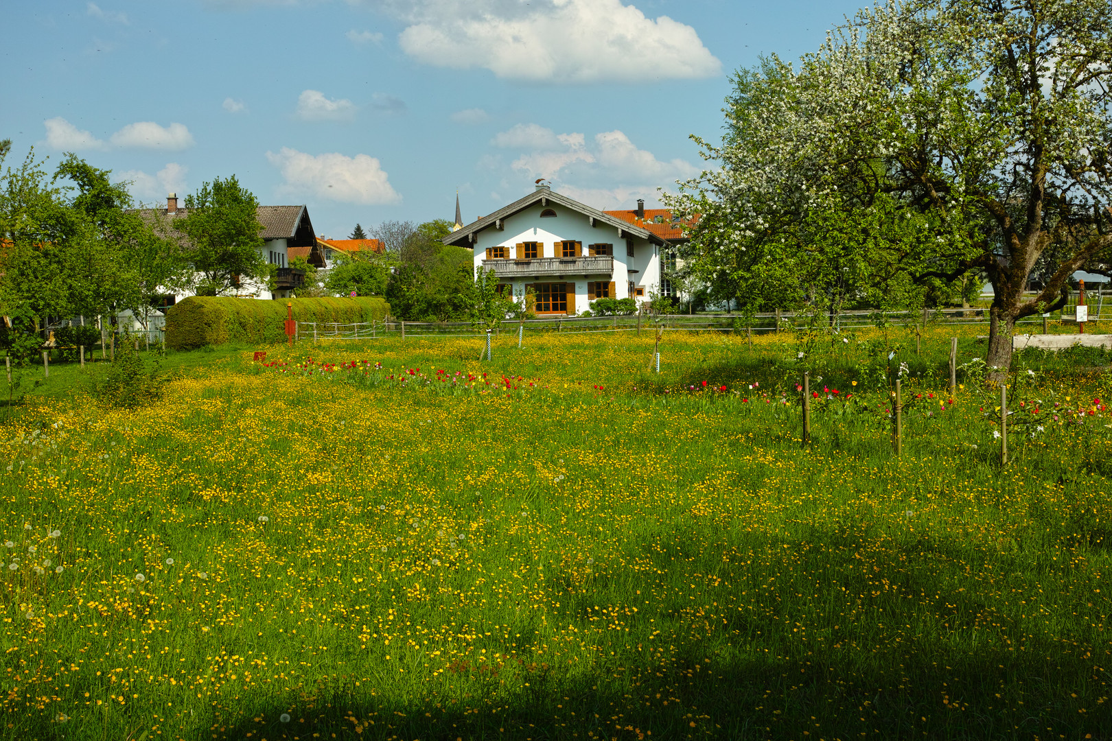 Obst- und Bienenlehrpfad Pfarranger