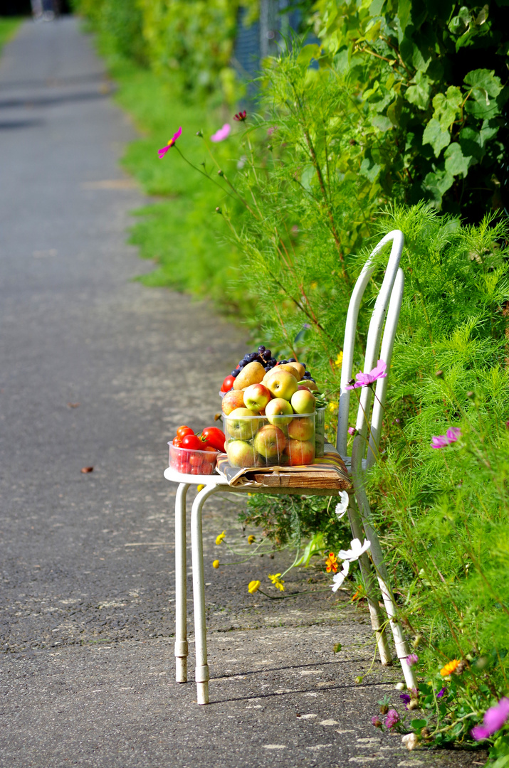 Obst und Gemüse zum Verkauf