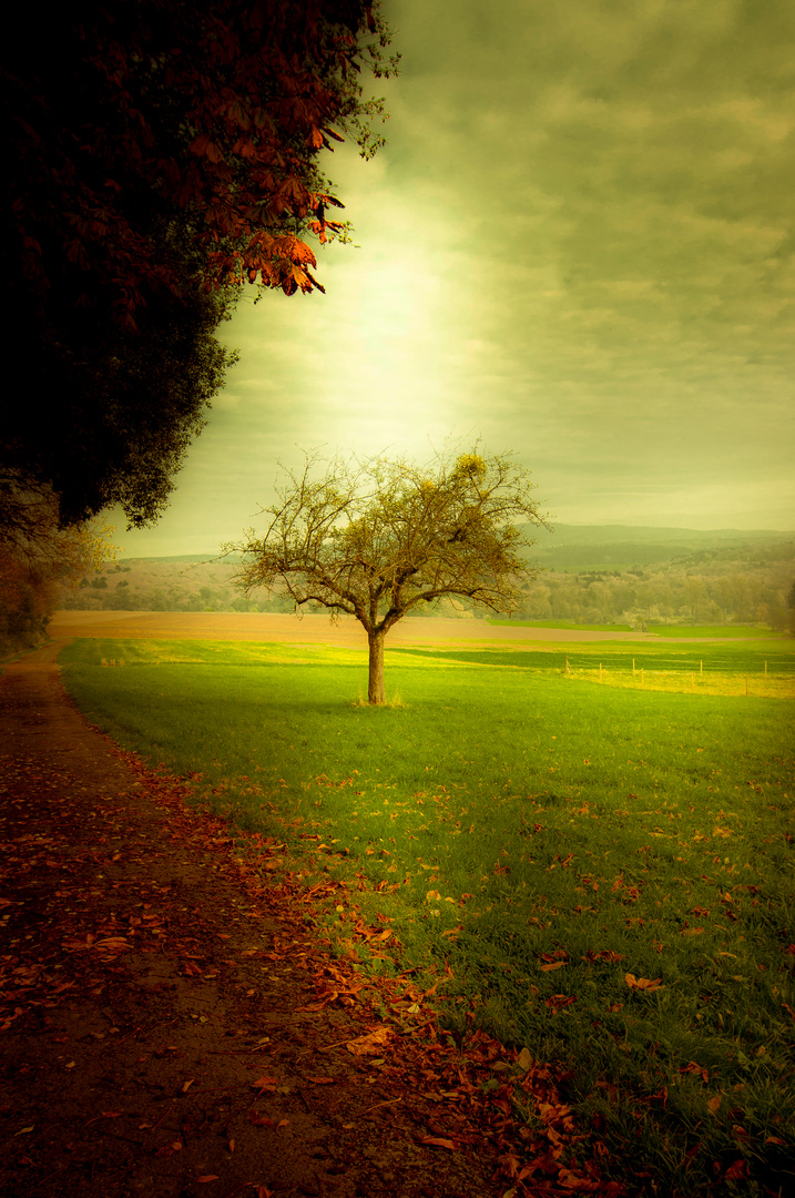 Obstbaum