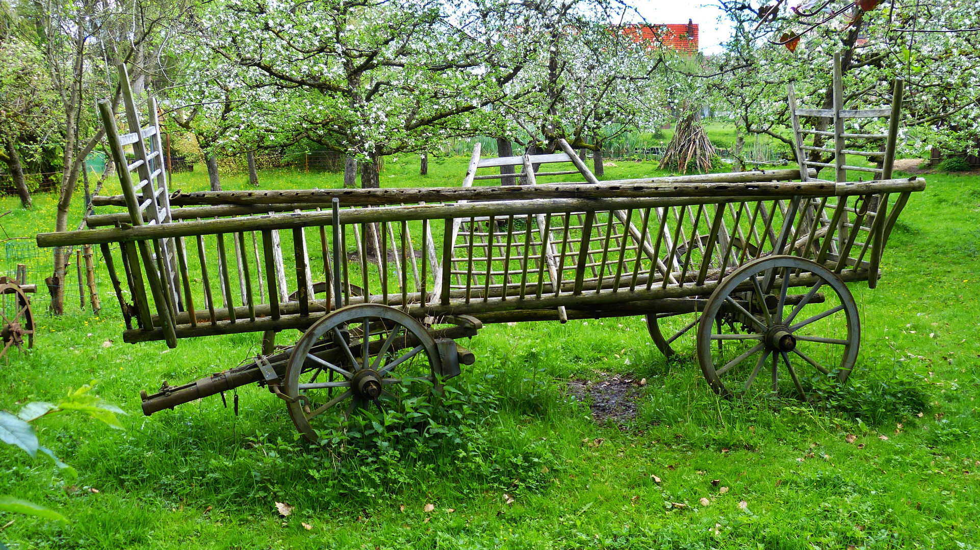 Obstbaum-Garten