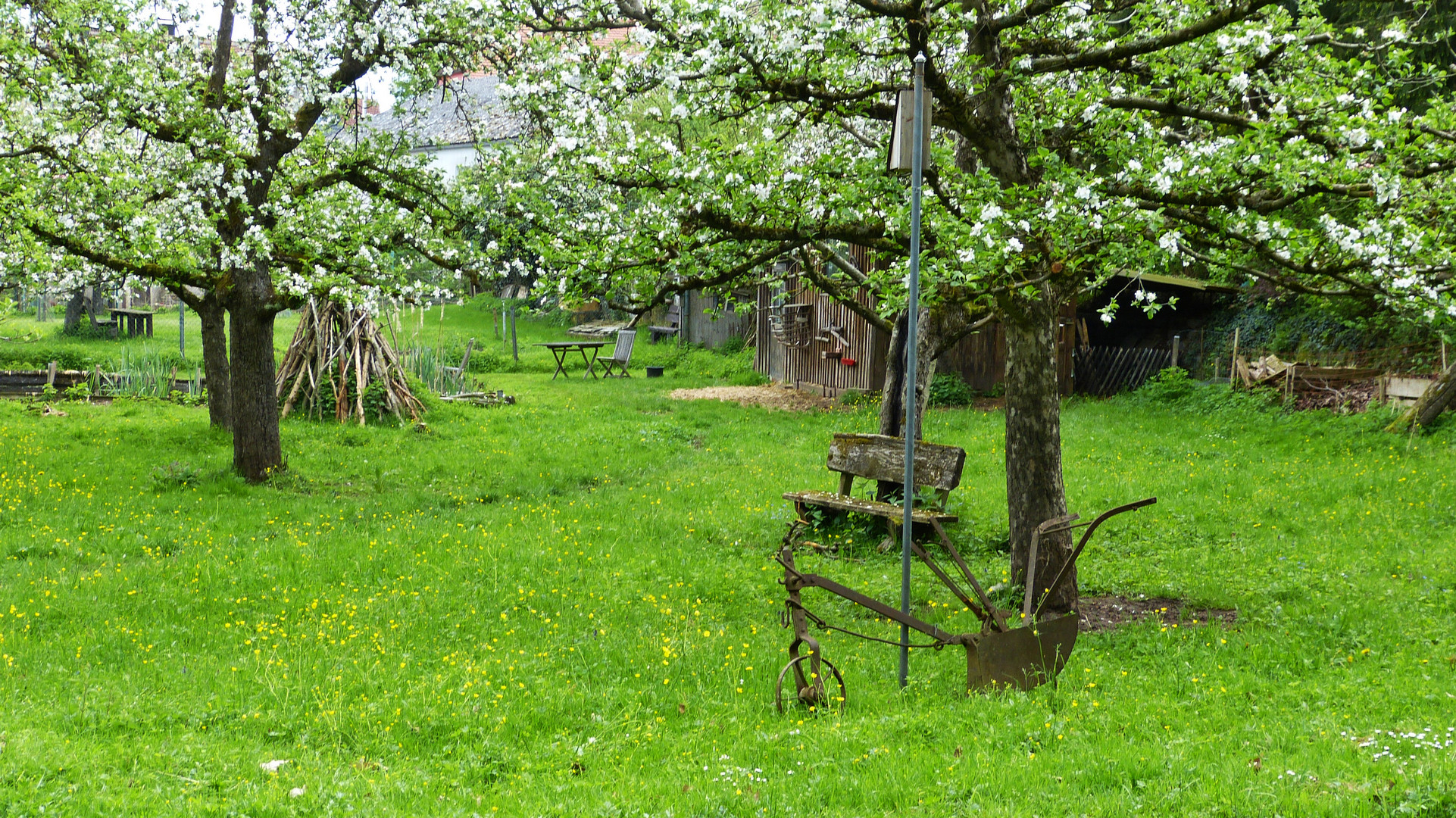 ObstbaumGarten Foto & Bild landschaft, garten & parklandschaften
