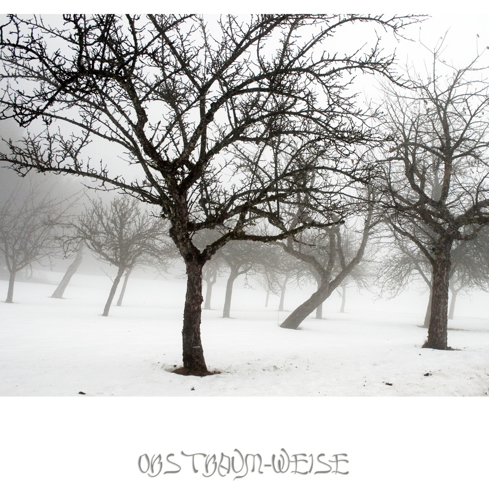 Obstbaum-Weise