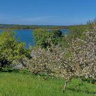 Obstbaumblüte zu Pfingsten im Naturparadies Teutenberg