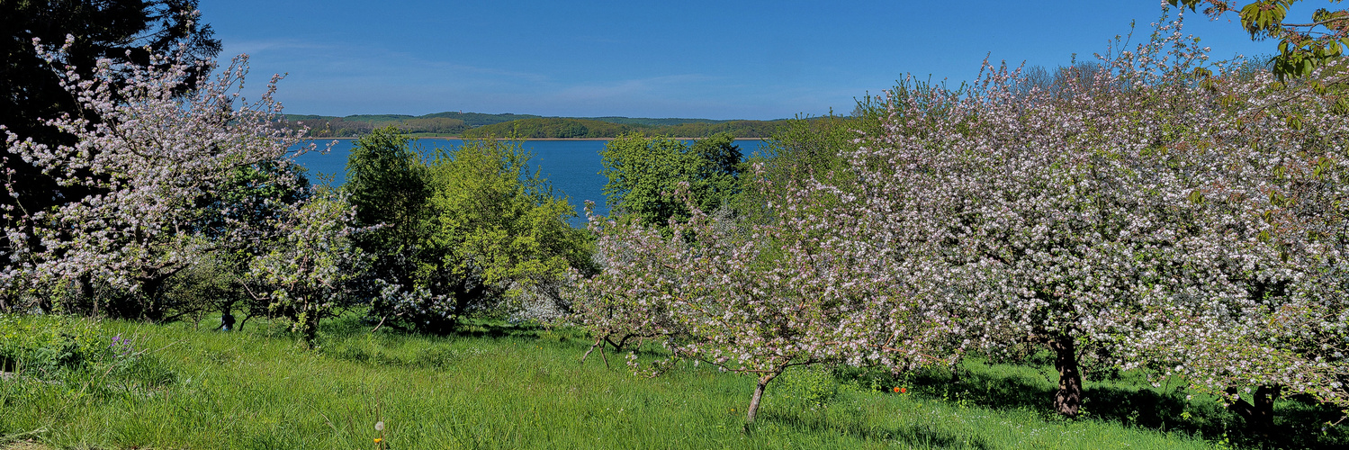 Obstbaumblüte zu Pfingsten im Naturparadies Teutenberg