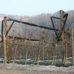 Obstgarten