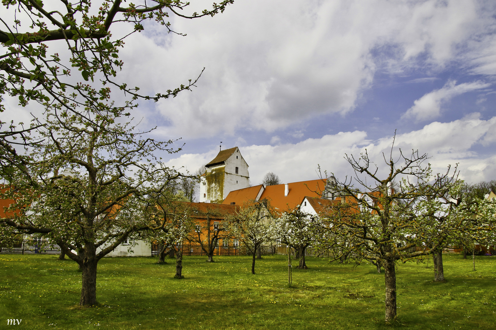 Obstgarten