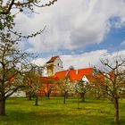 Obstgarten