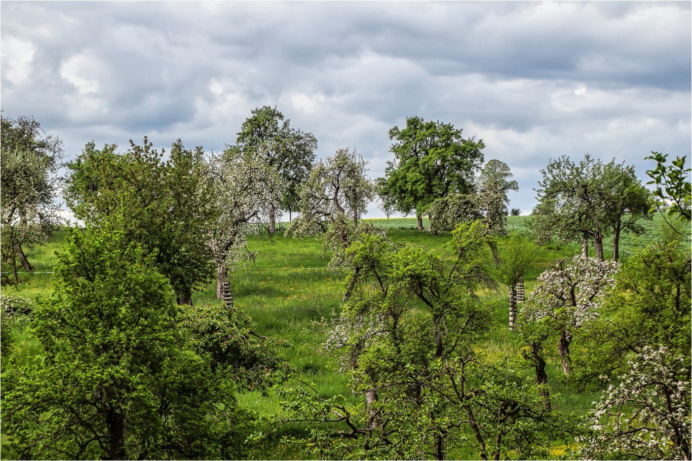 Obstgarten