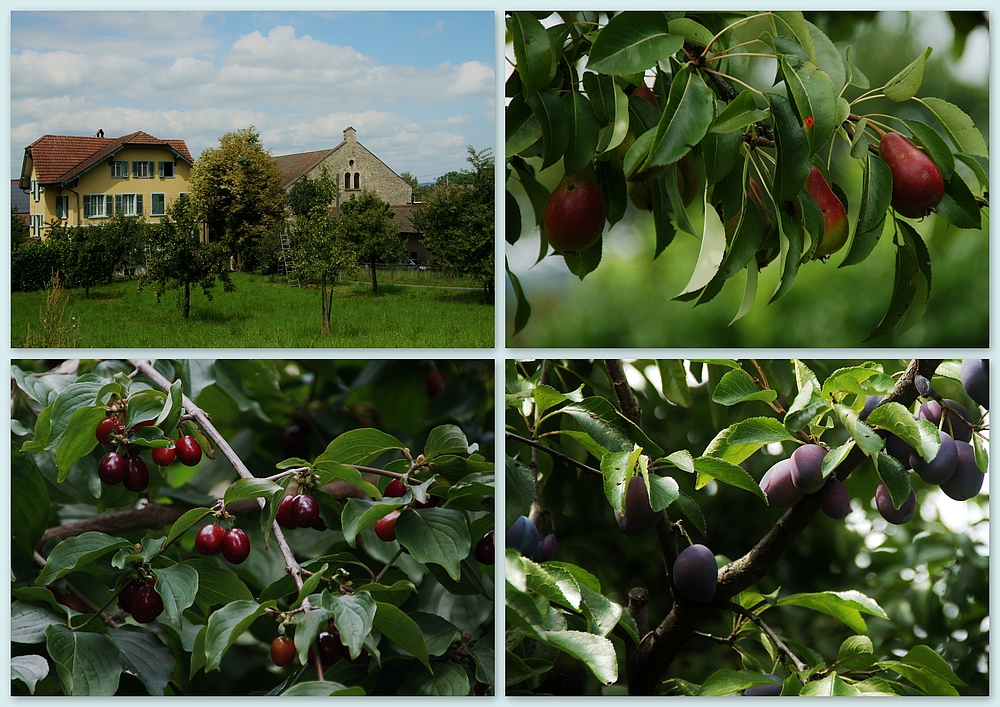 ..Obstgarten..