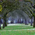 Obstgarten Alee