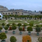 Obstgarten in Versailles