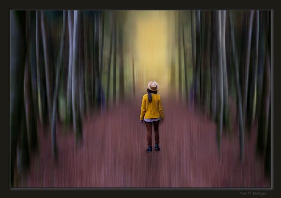 Obstinadamente caminando