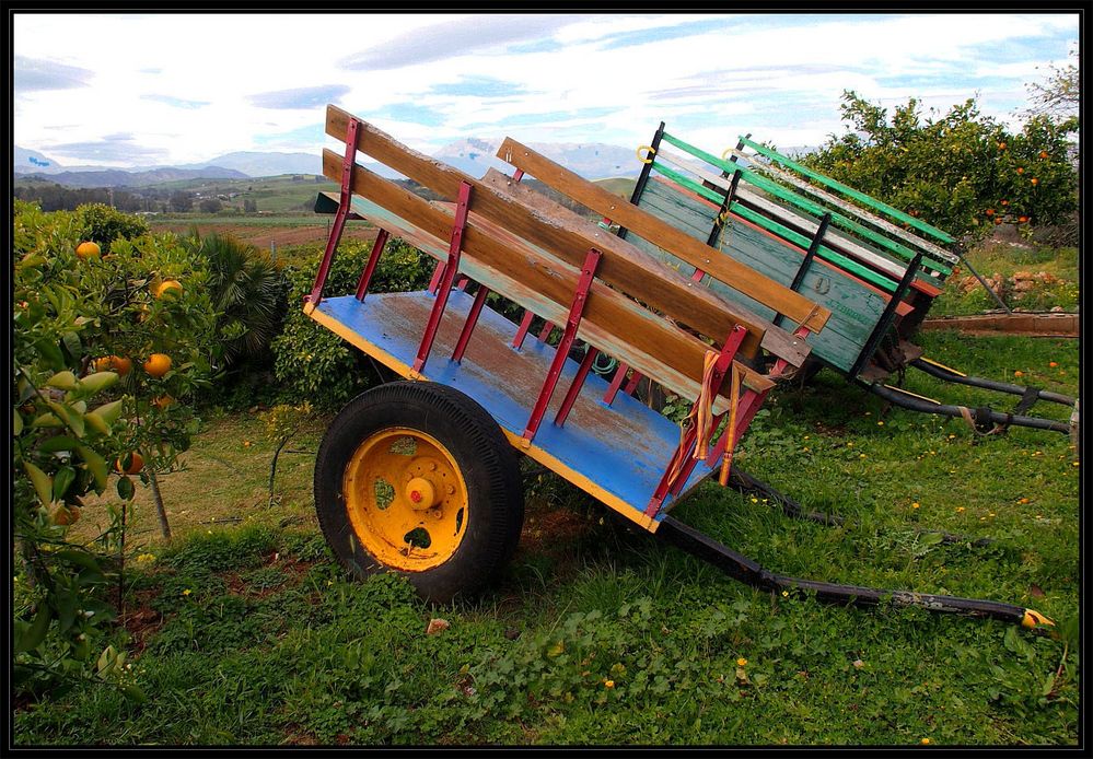 Obstkarren in Andalusien