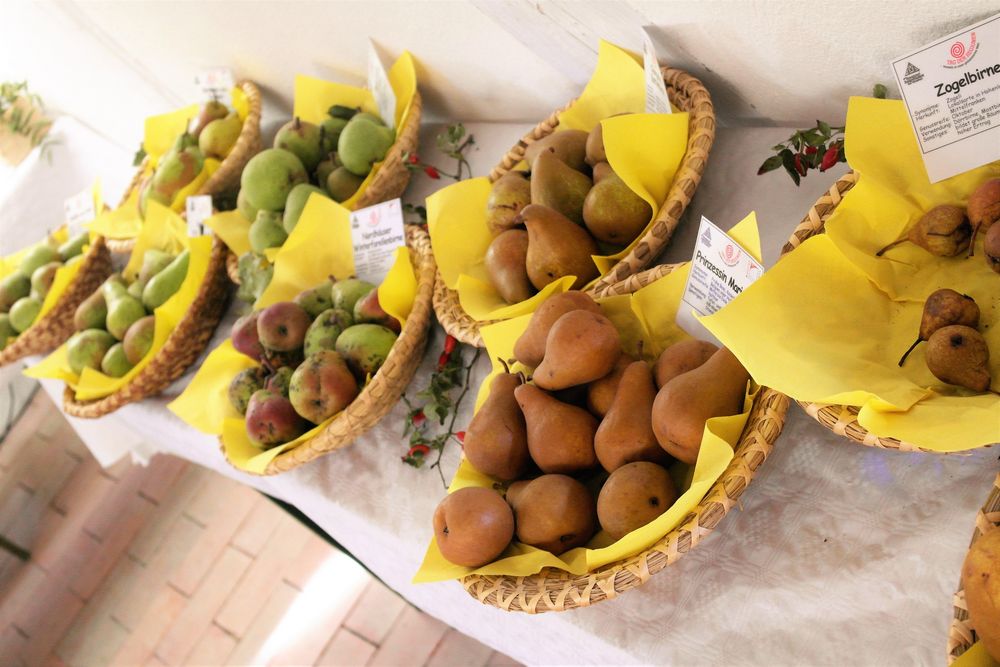 Obstsortenausstellung Birnen Freilandmuseum Bad Windsheim