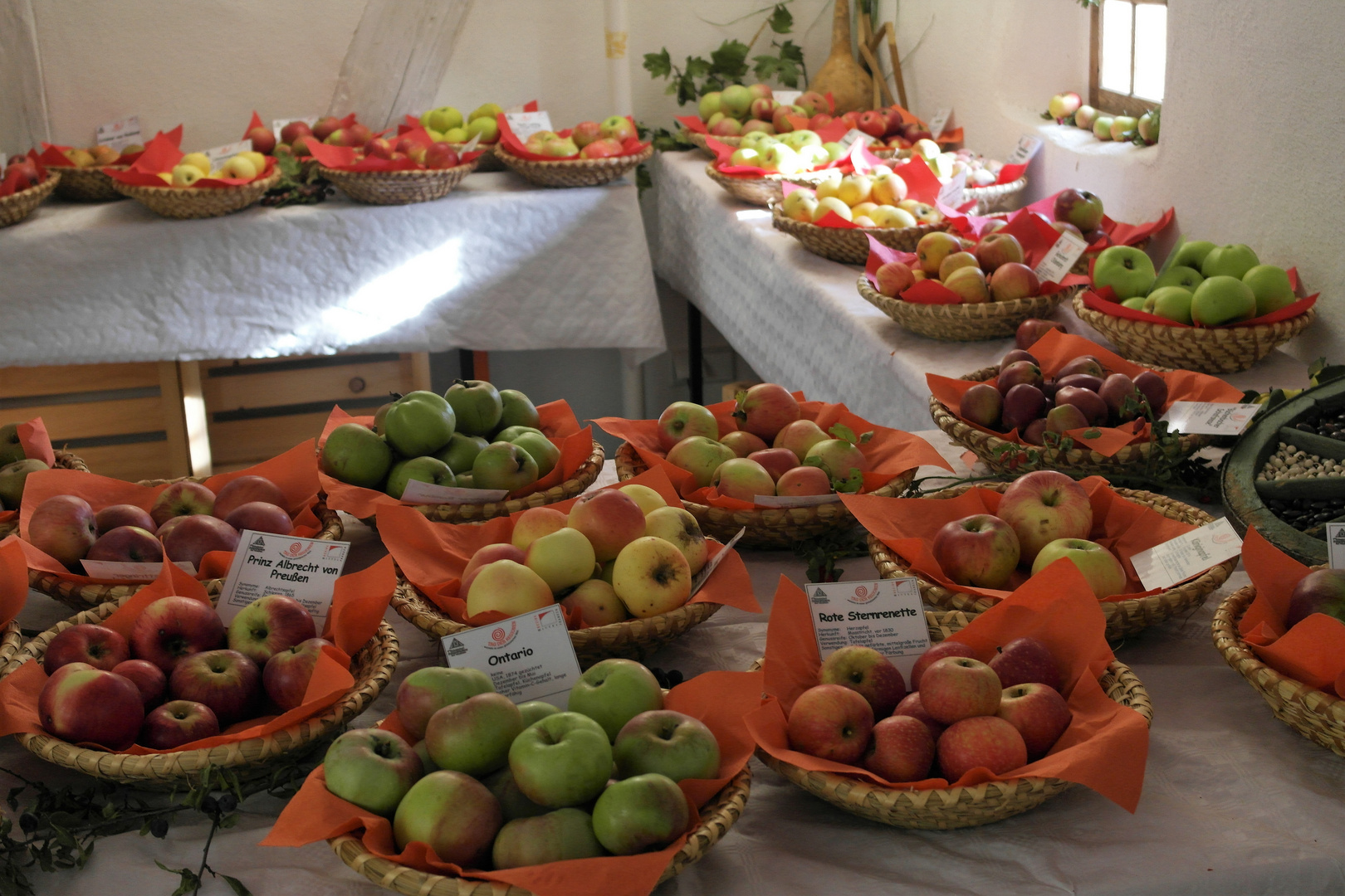 Obstsortenausstellung heimischer Sorten