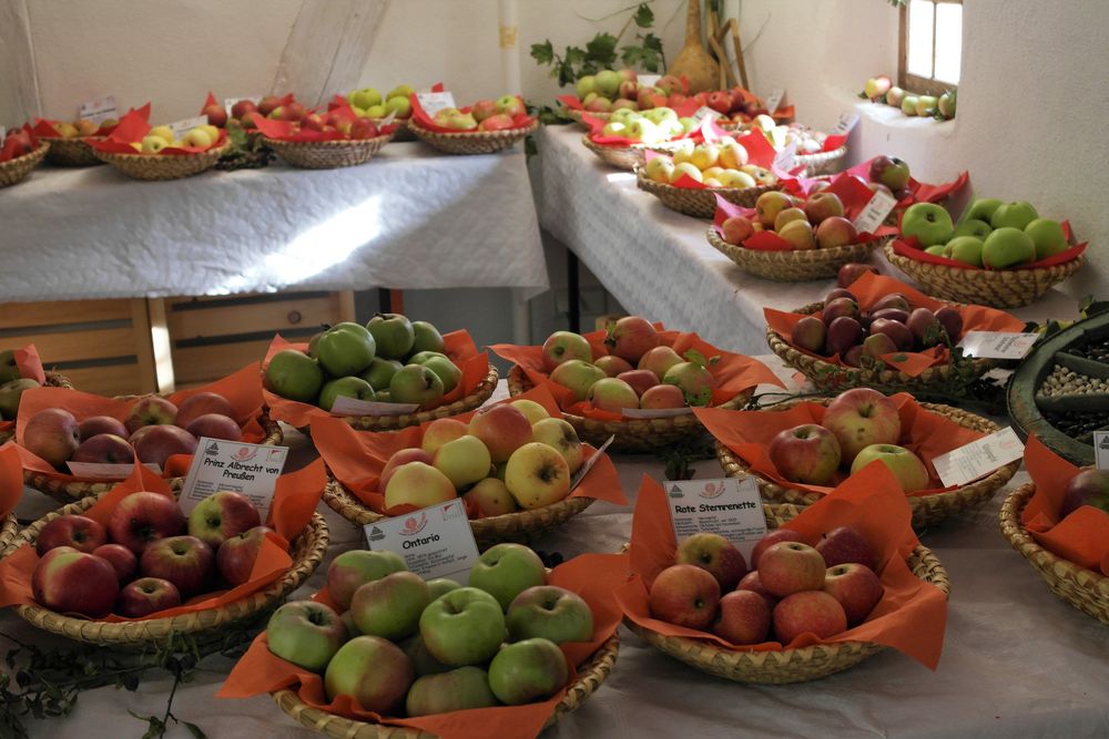 Obstsortenausstellung heimischer Sorten