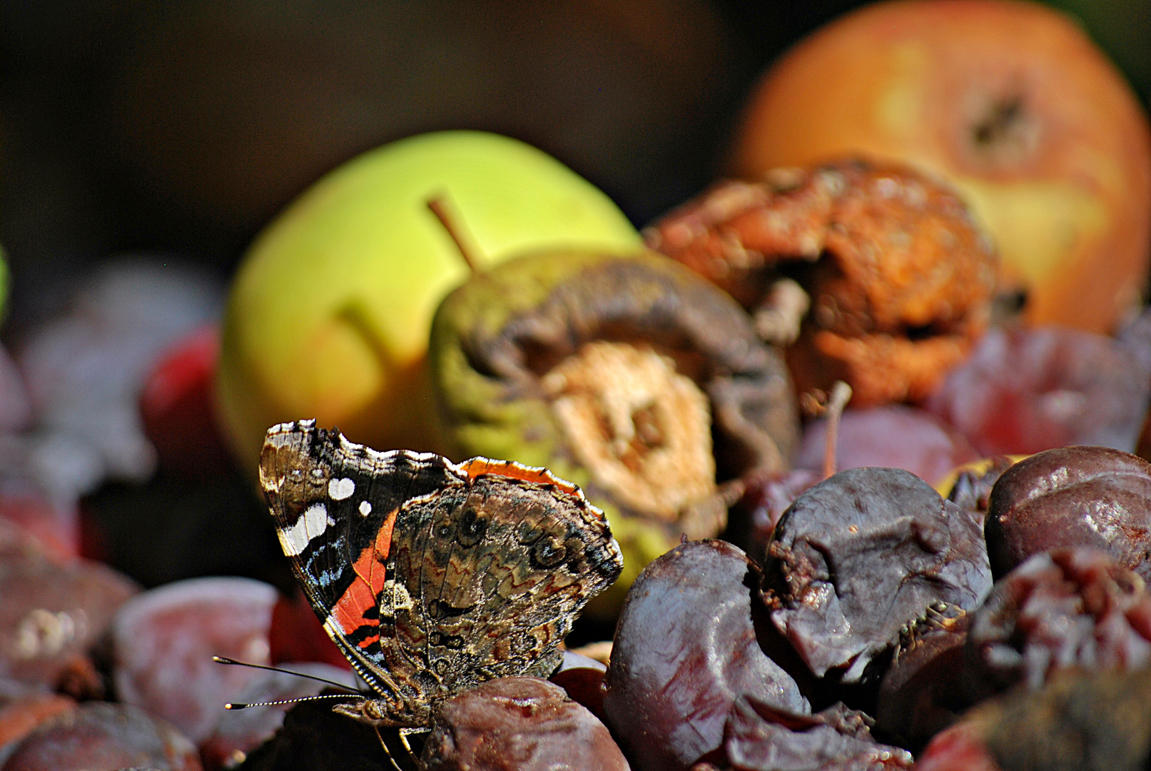 Obsttag...