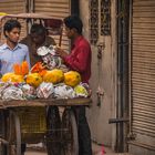 Obstverkäufer Delhi