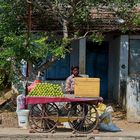 Obstverkäufer in Tamil Nadu